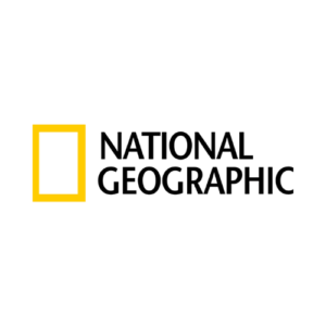 Untitled-design.png